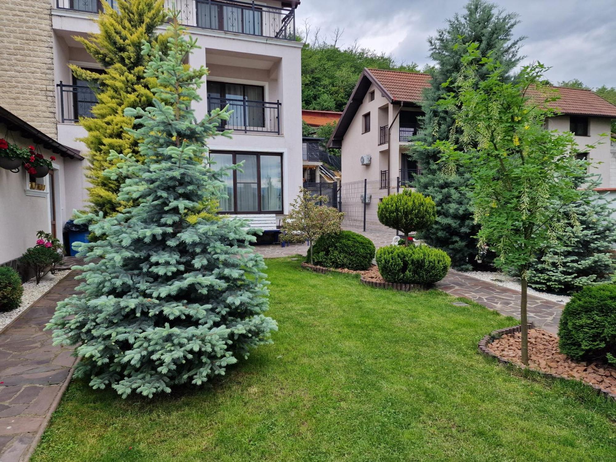 Готель Casa Andrei Оршова Екстер'єр фото